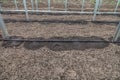 New drip irrigation system in greenhouse Royalty Free Stock Photo