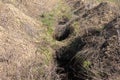 New dug graves, grave cemetery for those infected by coronavirus, Ukraine Dnieper city