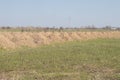 New dug graves, grave cemetery for those infected by coronavirus, Ukraine Dnieper city