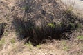 New dug graves, grave cemetery for those infected by coronavirus, Ukraine Dnieper city