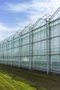 New empty big greenhouse, view outside with blue sky Royalty Free Stock Photo