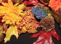 New England Fall Color Flowers, Pine Cones