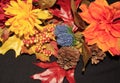 New England fall color flowers,