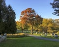 Beautiful Autumn Foliage in Old New England Cemetery