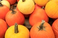 New England Fall, pumpkins galore,