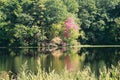 New England Fall Season, Pond Color Reflections