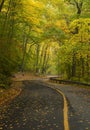 New England road in autumn color