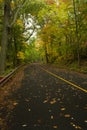 New England road in autumn color