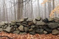 New England Rock Wall in the Woods Royalty Free Stock Photo