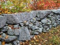 New England stonewall. Royalty Free Stock Photo