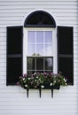 New England Window Royalty Free Stock Photo