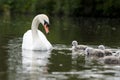 A new Family in the Rain Royalty Free Stock Photo