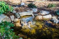 New Fish Pond at a Wildflower Garden on Top of Mill Mountain