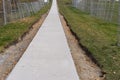 New Footpath concrete setting