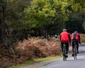 Two cyclists riding on a countryside road in the new forest hampshire Royalty Free Stock Photo