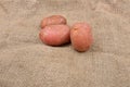 New fresh red potatoes jute background. Concept of healthy food, bio from countryside