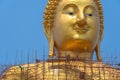 The new golden coloring work of Big Buddha in Ang Thong province