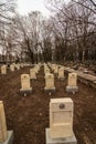 New gravestones of Jewish soldiers` graves from the First World War