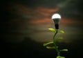 New Green renewable and Sustainable Energy Concept Royalty Free Stock Photo