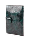 New green wallet of reptile skin leather isolated Royalty Free Stock Photo