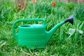 New green watering can standing on grass Royalty Free Stock Photo