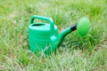 New green watering can standing on grass Royalty Free Stock Photo