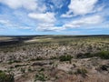 Life after Kangaroo Island Bushfires