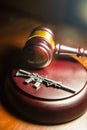 New Gun Regulations - Depicting a Judges gavel with a Weapon