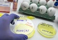 New H5N8 strain of avian influenza spread in humans, scientist with infected egg