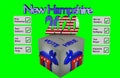 New Hampshire Democratic Primary 2020 list votes green bg 3D illustration