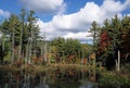 New Hampshire Pond Royalty Free Stock Photo