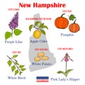 New Hampshire. Set of USA official state symbols