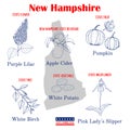 New Hampshire. Set of USA official state symbols