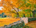 A New Hampshire white gate is surrounded by fall color