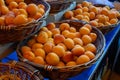 New harvest of fresh ripe sweet yellow-red apricots in Provence, France