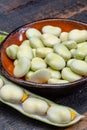 New harvest of healthy vegetables, green fresh raw big broad beans close up Royalty Free Stock Photo