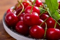 New harvest of red ripe juicy sour cherry or kriek berry Royalty Free Stock Photo
