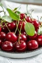 New harvest of red ripe juicy sour cherry or kriek berry Royalty Free Stock Photo