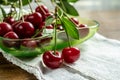 New harvest of red ripe juicy sour cherry or kriek berry Royalty Free Stock Photo