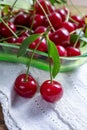 New harvest of red ripe juicy sour cherry or kriek berry Royalty Free Stock Photo