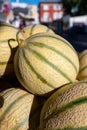 New harvest of sweet honey melons from Cavaillon, Provence, France