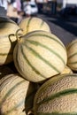 New harvest of sweet honey melons from Cavaillon, Provence, France Royalty Free Stock Photo
