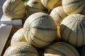 New harvest of sweet honey melons from Cavaillon, Provence, France Royalty Free Stock Photo