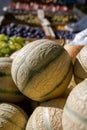 New harvest of sweet honey melons from Cavaillon, Provence, France Royalty Free Stock Photo