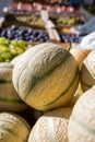 New harvest of sweet honey melons from Cavaillon, Provence, France Royalty Free Stock Photo