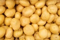 The new harvest white potatoe sold at city farmers market Royalty Free Stock Photo