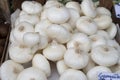 New harvest of white sweet italian cipolla onions vegetables on food market Royalty Free Stock Photo