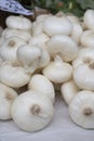 New harvest of white sweet italian cipolla onions vegetables on food market Royalty Free Stock Photo