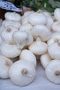 New harvest of white sweet italian cipolla onions vegetables on food market Royalty Free Stock Photo