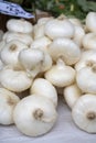 New harvest of white sweet italian cipolla onions vegetables on food market Royalty Free Stock Photo